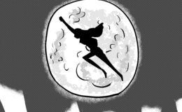 猫かぶる怪盗店主